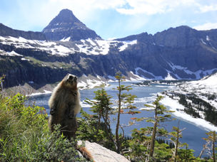 5 Reasons to Visit Glacier National Park 