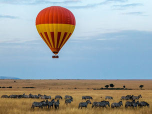The Most Amazing Safari Destinations in the World to Admire Wildlife