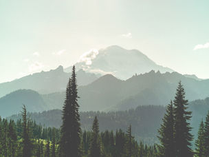 Mt. Rainier National Park: Your Next Great Hike